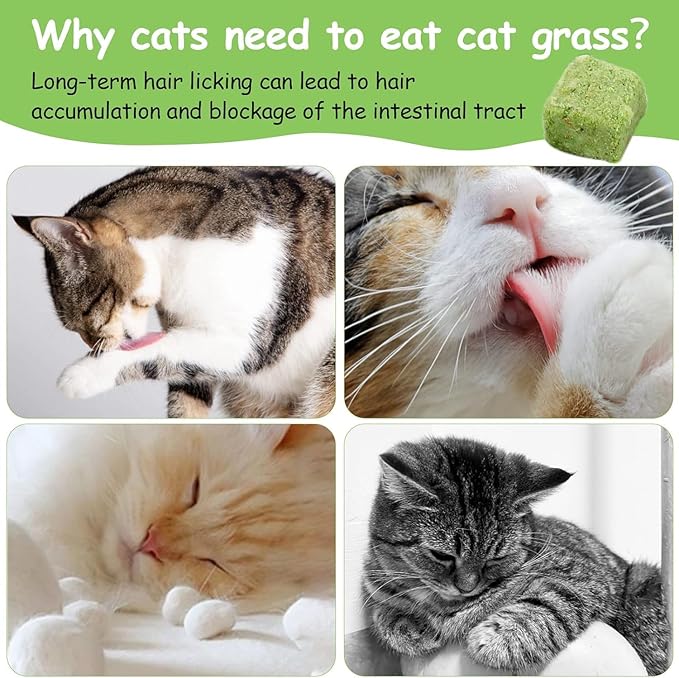 120g Freezed Drying Cat Grass Treats for Cats, Cat Grass Teething Stick Snacks for Cats Hairball Removal and Teeth Cleaning