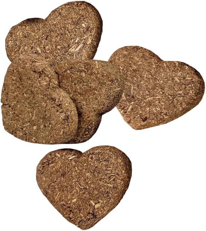 Oxbow Organic Barley Biscuits, Rabbit & Guinea Pig Treats, Organic Hamster & Bunny Treats with Barley, Apple & Carrot, Made in USA, Small Pet Supplies, 2.65 oz Bag