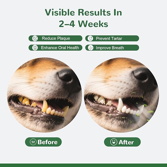 Dog Teeth Cleaning Powder, Dental Powder for Dogs Teeth Tartar Remove & Plaque Off, Fresh Breath for Dogs with Natural Plants Blend and Postbiotics, 300g