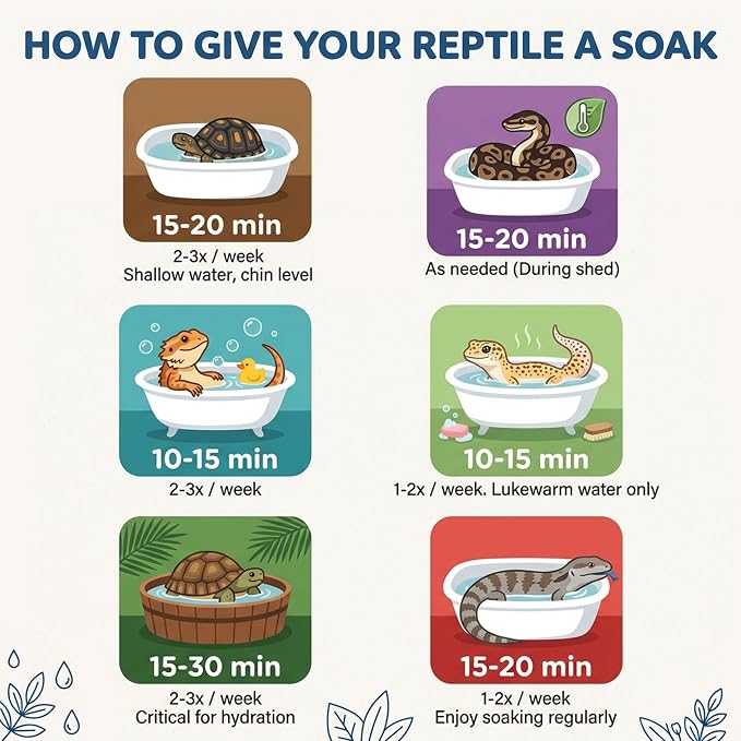 CTWPets Reptile Soak, Electrolyte and Vitamin Bath for Bearded Dragons, Leopard Gecko, Tortoise, Snakes (16oz, Easy Soak)