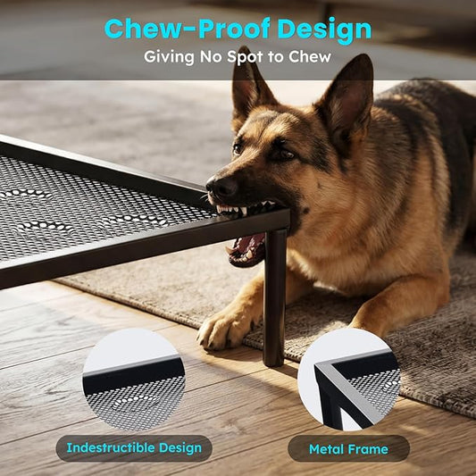 ZOMISIA Chew Proof Elevated Dog Bed for Medium Dogs - Raised Pet Cot with Removable Waterproof Padded for Outdoor Use, Indestructible and Washable, 36" L x 24" W x 5" H, Black