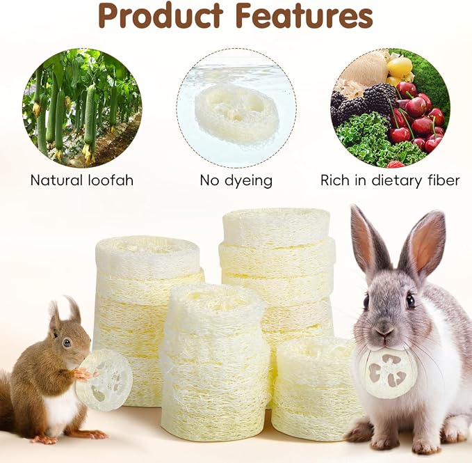 Veemoon 20pcs Hamster Bunny Pet Chewing Toy, Natural Loofah Small Animal Chew Tool Pet Molar Toy for Guinea Pig Chinchilla Hamster Rat Tooth Cleaning and Oral Care Stress Relief Entertainment