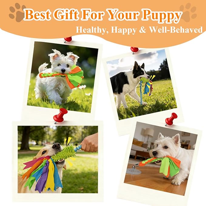 Suction Cup Dog Toys for Small Medium Dogs, Tug of War Rope Toy for Puppy Teething, Interactive Enrichment that Sticks to Floor for Indoor Play (2 Colorful Ropes)