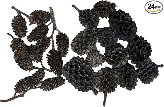 Alder & Casuarina Cones Betta Shrimp Tank Promotes Natural Habitat, Breeding, Tannin Producing Improves Immunity, Easy to Use, by Awesome Aquatic (24-12 ea Alder/Casuarina)