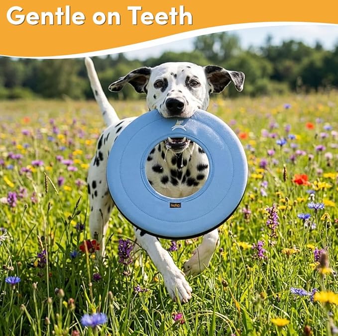 OllyDog Super Flyer, Floating Dog Disc for Water Play – Soft Durable Dog Fetch Toy, Eco-Friendly Recycled Material, Gentle on Teeth, Lightweight Flying Disc for Medium, Large Dogs (Blue Heron, 11")