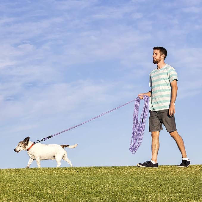 Long Dog Leash for Training 50Ft-Reflective Nylon Rope with Swivel Hook-Recall Agility Lead for Large Small Medium Dogs Outside Walking Hiking-Purple