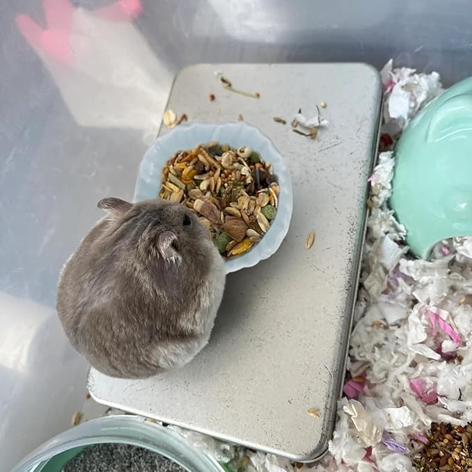 Small Ceramic Pet Hamster Bowl, Easy to Clean Anti Flipping Hamsters Food and Water Bowl, Small Animal Bowls for Dwarf Hamster, Parrots (Yellow, s)