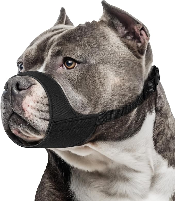 Mayerzon Short Snout Dog Muzzle for Small Medium Dogs, Soft & Sturdy Fabric, Anti Excessive Biting Chewing, Suits Schnauzer Bully Boxer Puppy for Grooming Vet Visits Walk, Allows Drinking(Black, M)