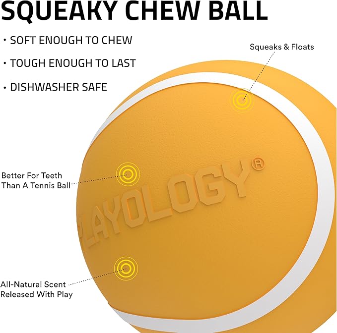 Playology Dog Toys | Squeaky Chew Ball for Dogs, Value 3-Pack | Cheddar Cheese Scented Small Dog Balls | Bouncy Floating Chew Toys for Fetch