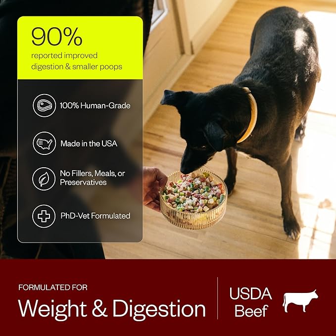 Maev Human-Grade Beef Dog Food, Weight & Digestion Formula, Whole Ingredient, Gluten-Free, High Protein Puppy & Dog Food, 15 lb