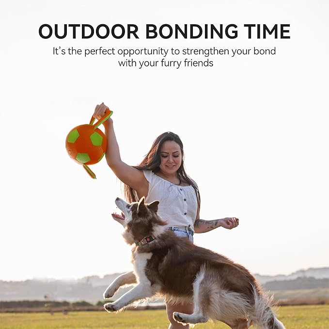 ALL FOR PAWS Dog Ball with Handles, Dog Toy with Squeaker, Interactive Tug of War Ball Toy for Medium and Large Dogs, Outdoor Ball Toys for Fetch & Tug Play, 15.7 x 7.9 x 7.9 Inch