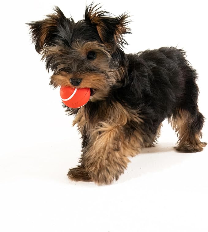 Playology Dog Toys | Squeaky Chew Ball for Dogs, Value 3-Pack | Beef Scented Small Dog Balls | Bouncy Floating Chew Toys for Fetch