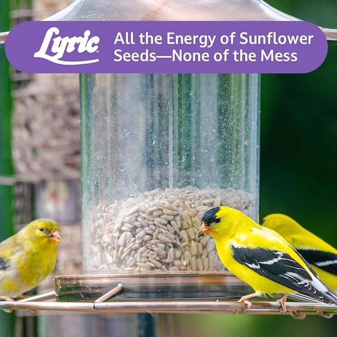 Lyric Sunflower Kernels Wild Bird Seed for Outside Feeders, No Waste Bird Food, Attracts Finches and More, 5 lb Bag