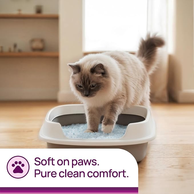 Litter Pearls Micro Crystals Unscented Non-Clumping Crystal Cat Litter with Odorbond, 10.5 Pounds