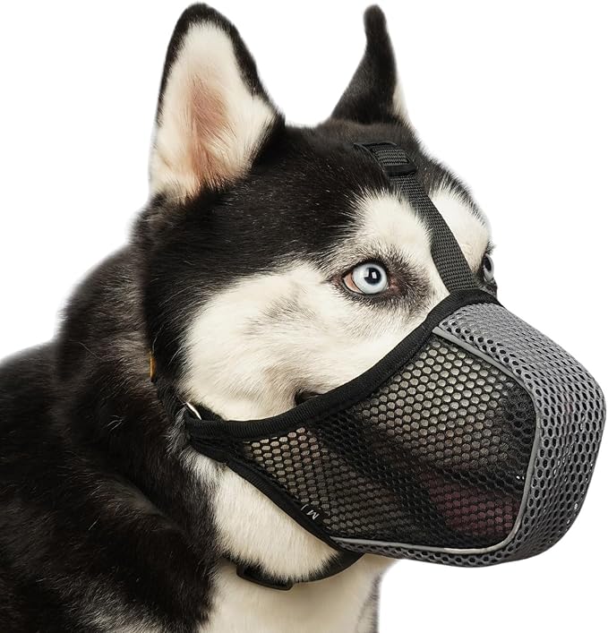 Mayerzon Dog Muzzle, Patented Mesh Soft Muzzles for Large Medium Small Dogs Poodle Husky Doberman Labrador Retriever for Scavenging Grooming Biting Chewing, Breathable Reflective Mussel with Collar