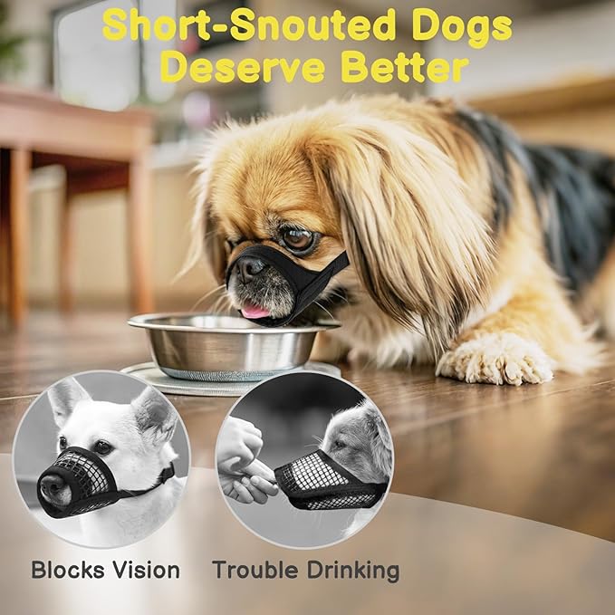Mayerzon Short Snout Dog Muzzle for Small Medium Dogs, Soft & Sturdy Fabric, Anti Excessive Biting Chewing, Suits Chihuahua Shih Tzu Maltese for Grooming Vet Visits Walk, Allows Drinking(Black, XXS)