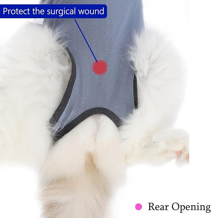 kzrfojy Cat Surgery Recovery Suit Cat Onesie for Cats After Surgery Spay Surgical Abdominal Wound Skin Diseases E-Collar Alternative Wear (Grey-Blue-M)