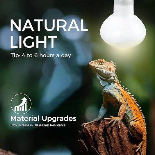 Reptile Heat Lamp 75W, 2 Pack Daylight UVA Basking Light Bulbs with E26 Base for Lizards, Turtles, Snakes and Amphibians