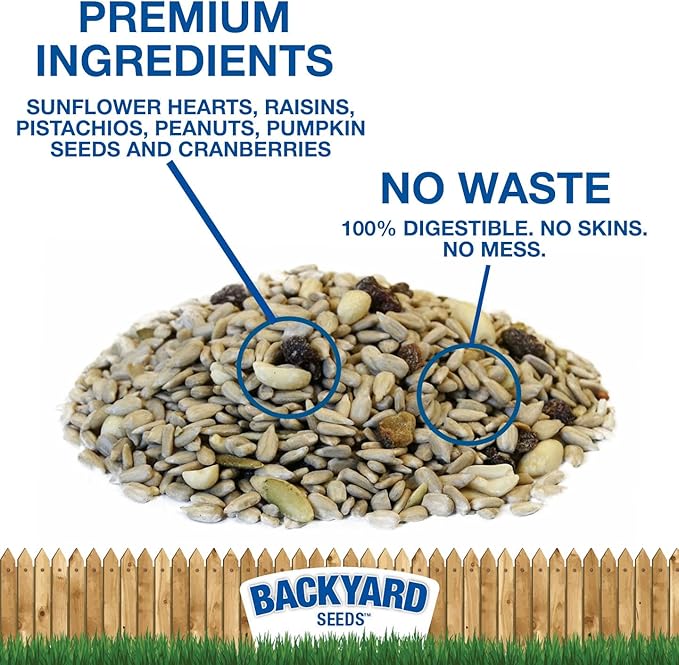 Backyard Seeds Fruit Frenzy No-Waste Bird Seed Mix 5lbs - Premium Blend with Pumpkin Seeds, Cranberries & Pistachios, Small Bag of Wild Bird Food