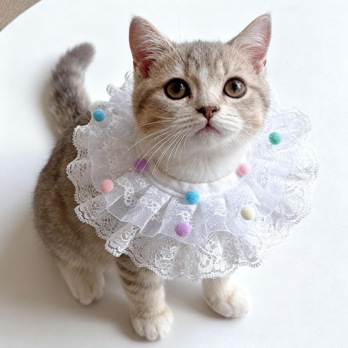 Elegant Lace Cat Collar with Cute Bow,Cat Collar with Bow Tie,Pet Lace Bib Collar with Cute Bow,Cat Princess Costumes,Colorful Ball,1 Piece ﻿