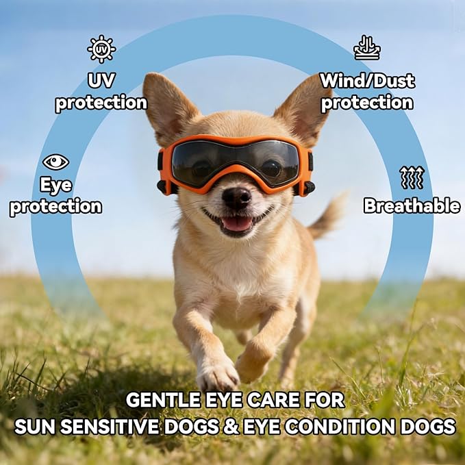 Dog Goggles Small Breed, XS Dog Sunglasses Chihuahua Glasses Anti-UV Eyes Protection for XSmall Pets Tiny Dogs Cats, Orange XS