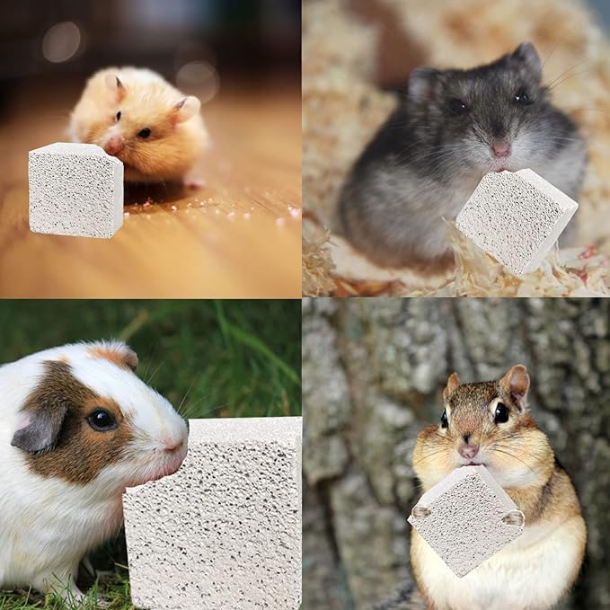 kathson Natural Rabbit Teeth Grinding Stones,15 Pcs Chinchilla Teeth Grinding Toys Lava Stone for Rabbits Hamster Chew Stones Small Animal Mineral Calcium Lava Blocks for Chinchillas Guinea Pig Rat