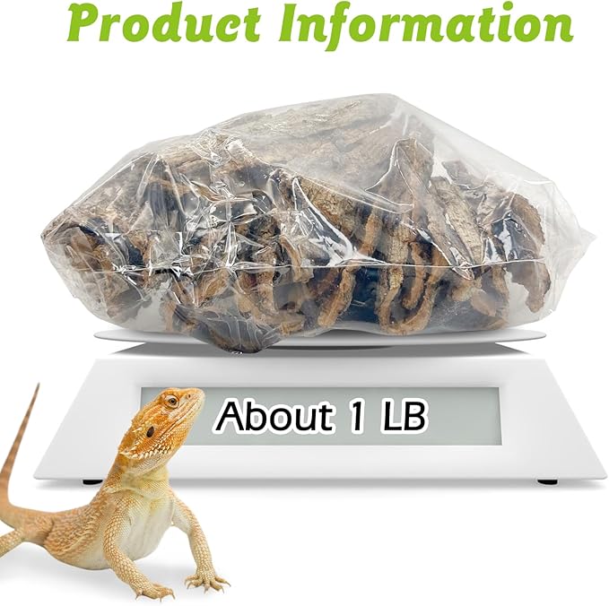 Reptile Cork Bark Bulk 1 Lb Reptile Bark Bedding Natural Flat Cork Wood Pieces Terrarium Substrate Tank Supplies for Bearded Dragon Snake Spiders Hermit Crabs Geckos Tortoise