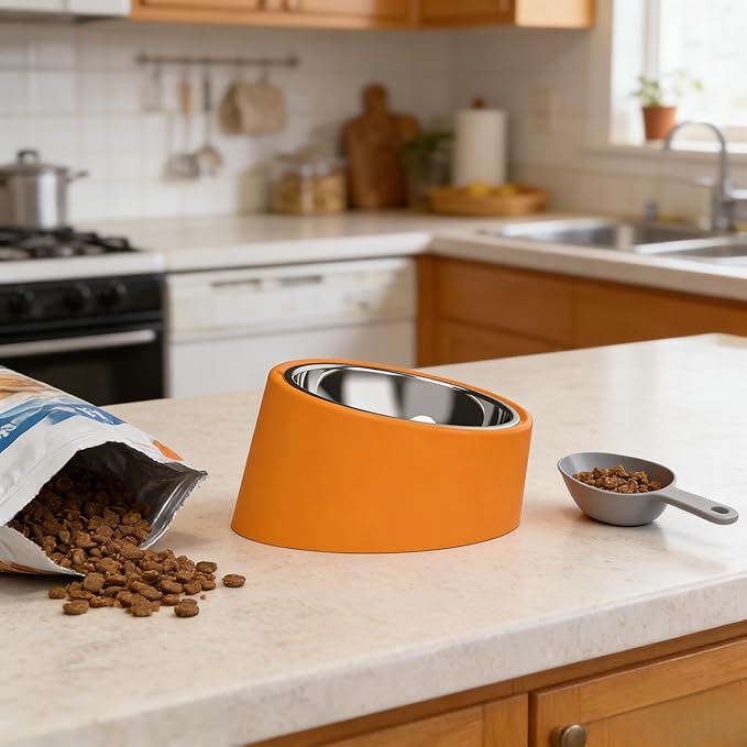 Slanted Dog Bowl Slow Feeder, 15° Tilted Elevated Raised Food Water Dish, Anti-Choke Anti-Gulping for Cats Dogs, Non-Spill Weighted Base, for Medium