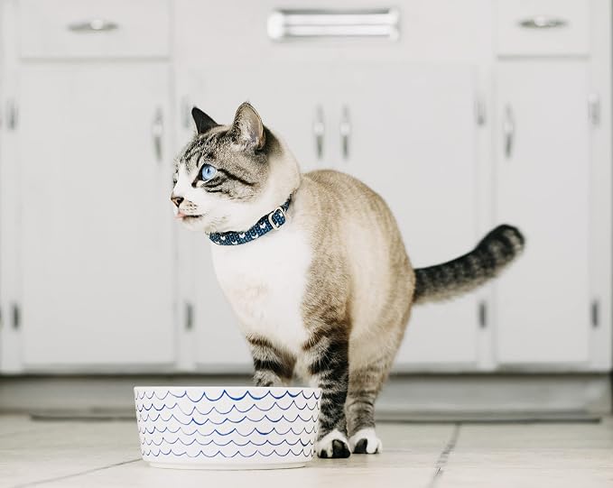 Waggo Ceramic Dog Bowl – Blue & White Wave Pattern Pet Food & Water Bowl – Durable, Dishwasher Safe Modern Dog Dish (Large)