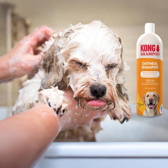 Kong Oatmeal Dog Shampoo, Soothes & Moisturizes, Oatmeal & Honey Scent - 18 fl oz, Biodegradable, pH-Balanced, Sulfate-Free, Cruelty-Free, for Sensitive Skin, All Coat Types, Made in USA