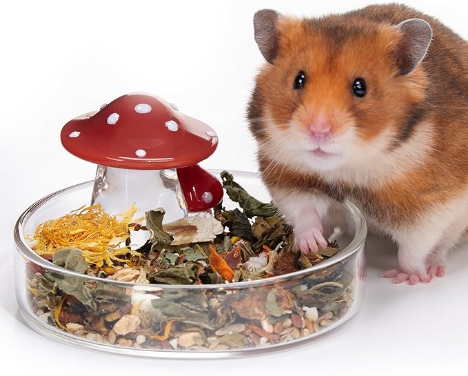 Niteangel Hamster Feeding & Water Bowls- Mushroom Ceramics Series Food Dish Feeding Bowls for Dwarf Syrian Hamsters Gerbils Mice Rats or Other Similar-Sized Small Pets (Feeding Bowl, Glass)