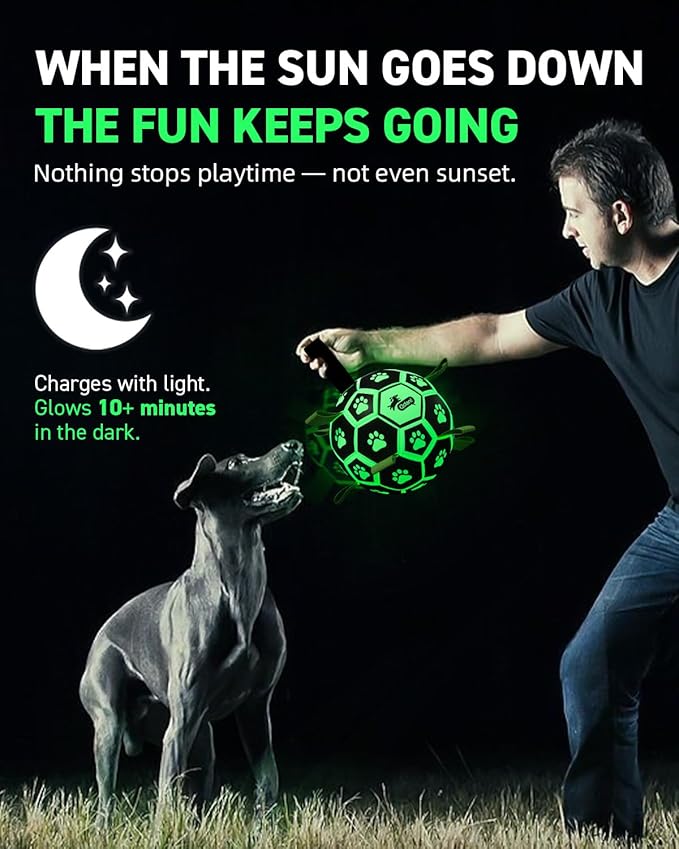 QDAN Glow in the Dark Dog Ball with Straps, No Charge Fetch & Tug Toy, 6 Inch Soccer Ball for Small & Medium Dogs, Great Birthday Gift for Pets
