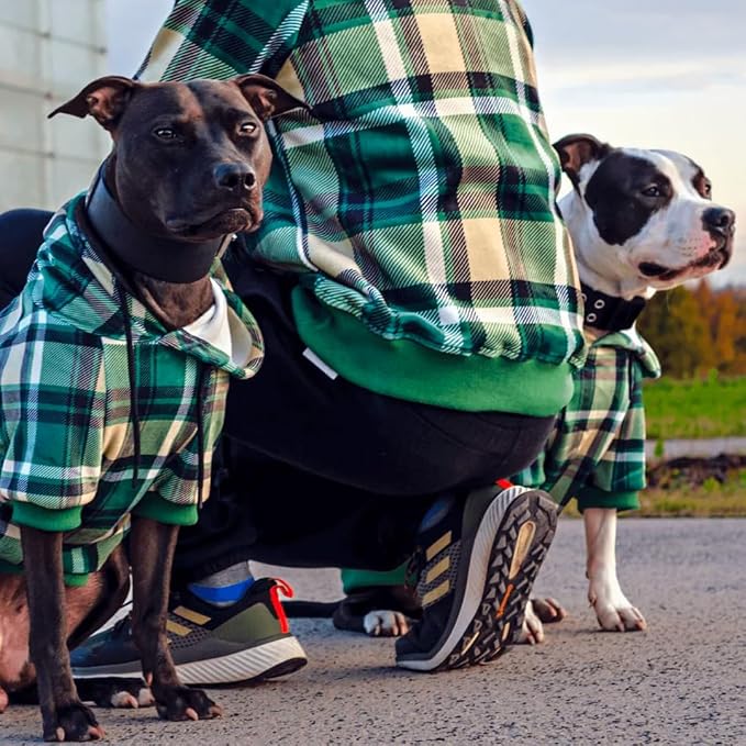Spark Paws Dog Hoodie – Premium Dog Sweater for Small, Medium, and Large Dogs | Warm Outfits for French Bulldogs, Pitbull, Puppy, Winter Jacket Alternative - Green Plaid - 4XL