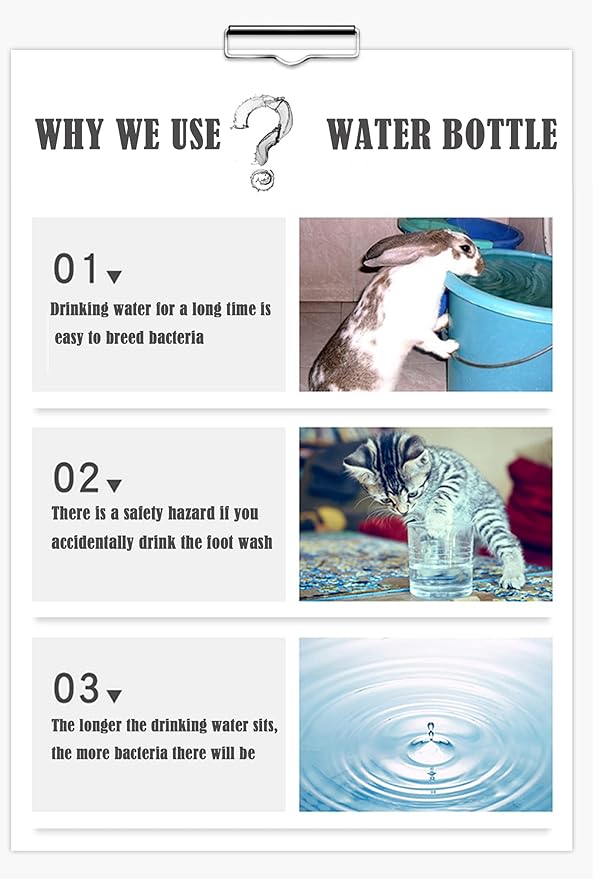 PStarD Moon Small Animals Water Bottle - Bunny, Hamster, Guinea Pig, Rabbit, Chinchilla, Gerbil, Groundhog, Squirrel (2.7 oz)