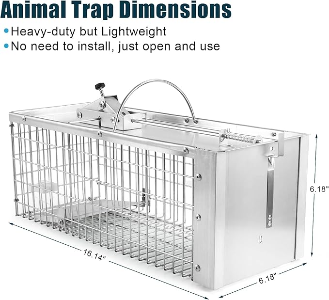 Live Animal Cage Trap, Heavy Duty Humane Cage Trap for Squirrels, Chipmunks, Rabbits, and Small Rodents, Safely Catch & Release - 1 Trap