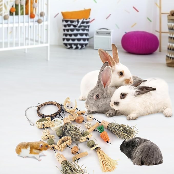 Bissap Rabbit Chew Toy, Bunny Cage Hanging Chewing Toys and Treats Wooden with Snacks for Guinea Pigs Chinchillas Hamsters Rats and Other Small Pets Teeth Grinding (Timothy Hay & Vine)