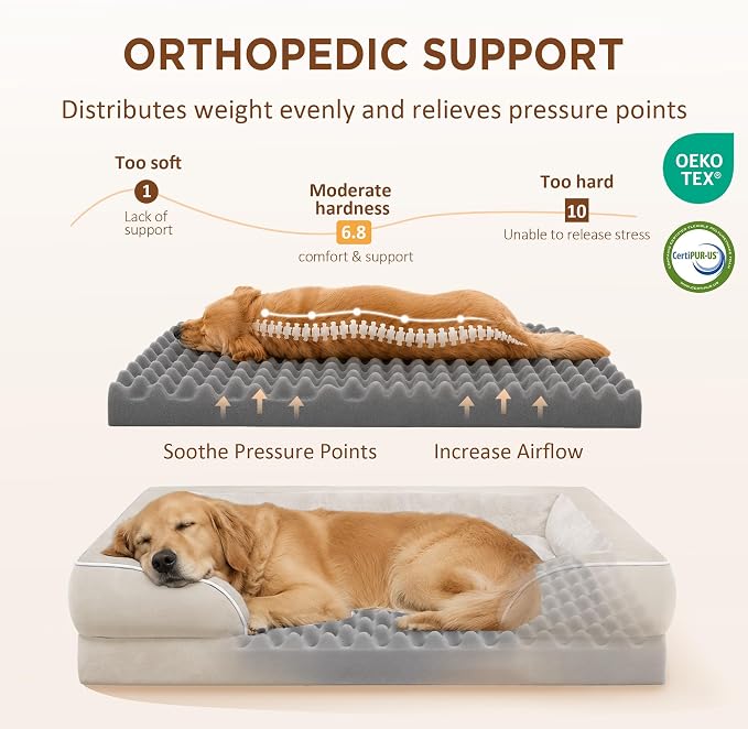 Comfort Expression Orthopedic Dog Bed for Medium Size Dog with Bolster | Waterproof Dog Couch Bed with Washable Cover & Non-Slip Bottom, Supportive Egg Crate Foam Medium Pet Bed, 30x20 Inch