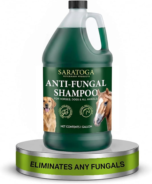 Saratoga Veterinary Product Antifungal Shampoo for Horses - Antibacterial Horse Shampoo and Conditioner - Effective Antifungal Horse Shampoo - Professional Quality Equine Care (1 Gallon)