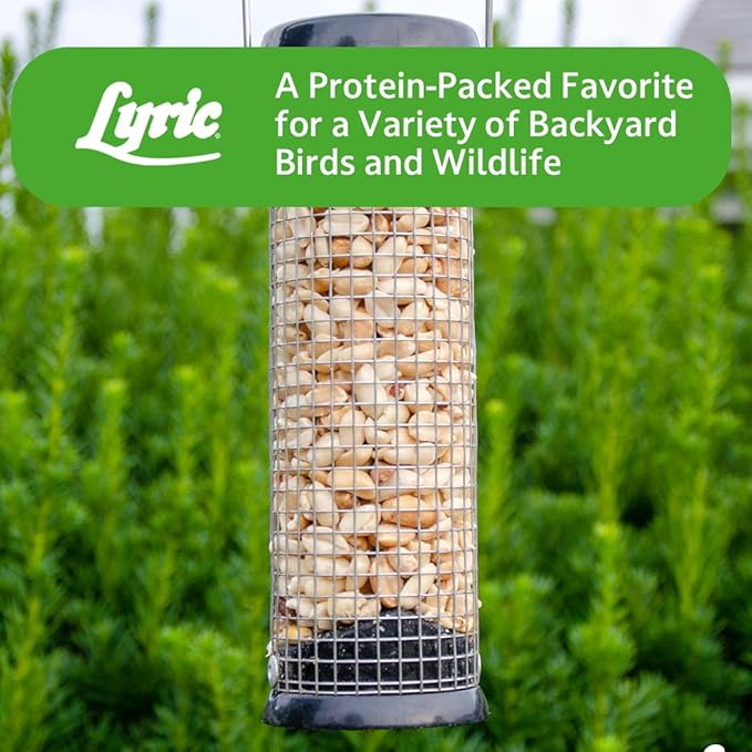 Lyric Sunflower Kernels No Waste Wild Bird Seed 25 lb Peanut Pieces - Shelled Peanuts for Wild Birds 15 lb - Perfect for Your Backyard Feeders
