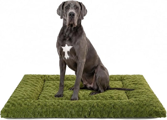 Washable Dog Bed Mat Ultra Soft Dog Crate Pad Comfy Fluffy Pet Kennel Beds Sleeping Mattress for Large Jumbo Medium Small Dogs, 48 x 60 Inch, Green