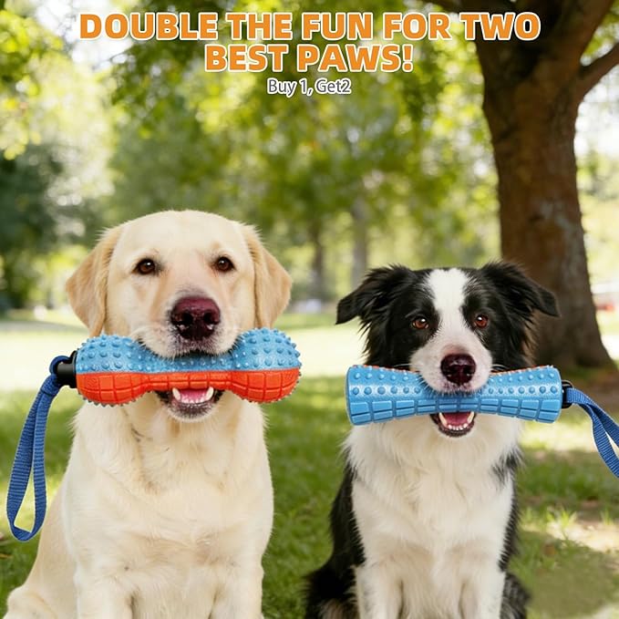 KOOLTAIL Floating Dog Toys,2 Pack TPR Water Pool Fetching Toy with Durable Rope for Small Medium Large Dogs,Bright Bumper Interactive Dog Chew Toys for Summer Outdoor Pool,Training&Teething
