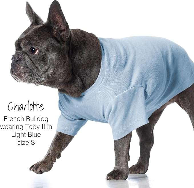 Pet Passion Toby II - The Perfect Tee, 3 Pack Short Sleeve Pet T-Shirt 100% Organic Cotton Tees Clothes for Small, Medium, Large Dogs, Navy Ombre, X-Small (5-12 lbs)