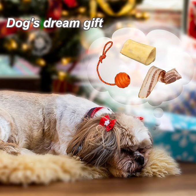 K9 Training Ball with Rope - Indestructible Dog Toy for Training, Pull, Throw, Tug & Fetch - Belgian Malinois Gifts (Pure Orange)