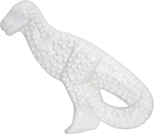 Nylabone Dental Dinosaur Power Chew Toy for Dogs, Dog Toys for Aggressive Chewers, Chicken Flavor, Small - Up to 25 lbs, 1 Count