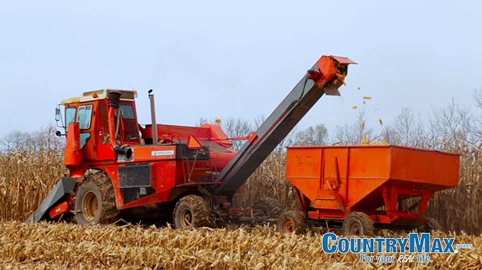 CountryMax Backyard Seeds Corn Cob 25 lbs - High-Energy Animal Feed for Chickens, Squirrels, Deer & Wild Birds, Ground Feeding, High Protein