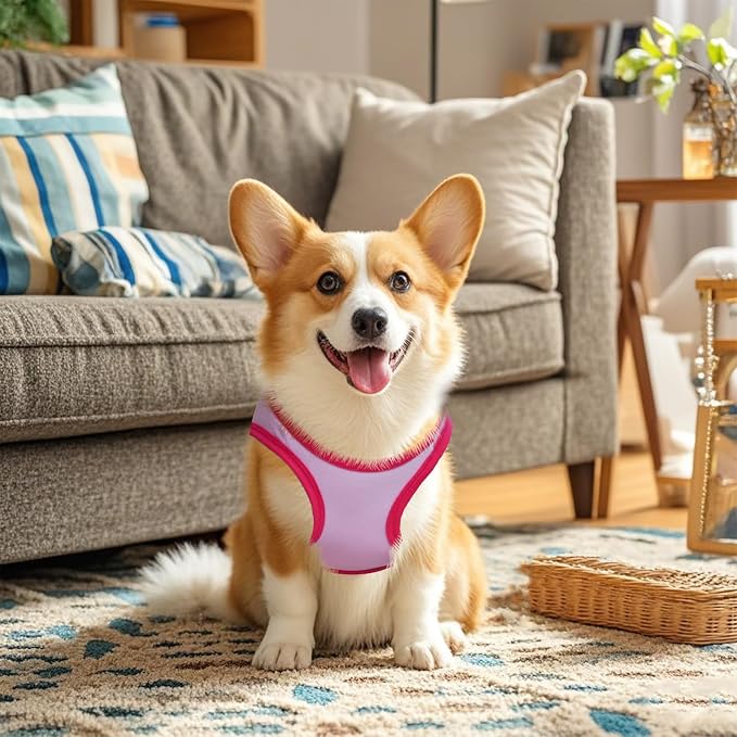 Pistha 4 Pack Dog Shirts Summer Printed Puppy Clothes Cute Sleeveless Pet T Shirts Dog Clothes for Small Medium Dogs Cats Girl(M)