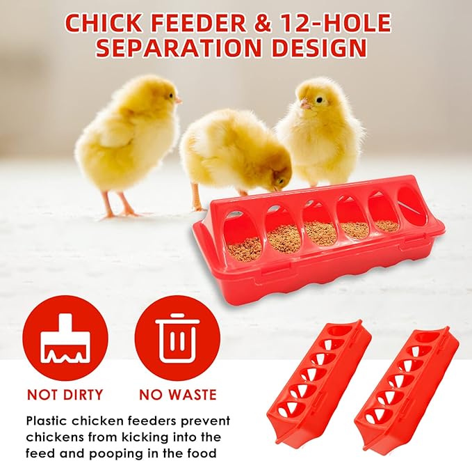 Chick Brooder Box Starter Kit with Chick Perch,flip Top Poultry Feeder, 1l Chick Feeder and Waterer Kit, Baby Chick Starter Home Kit, Baby Chicken Supplies for Baby Chick, Duck and Quail