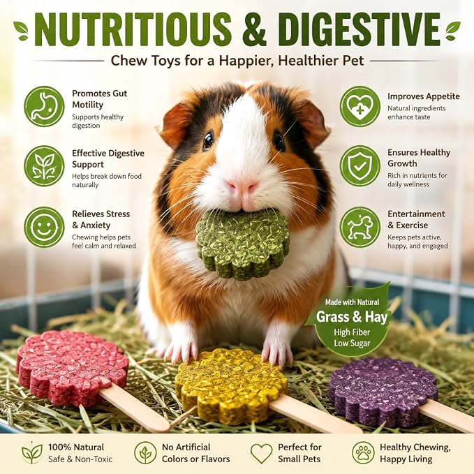 YKD Chinchilla Chew Toys, Rotating Spinner Toys + 12 Pcs Timothy Hay | Rabbit Chew for Teeth Grind & Digestion, Rust-Proof Aluminum Toy, for Rabbit, Bunny, Chinchilla, Hamster Dental Health