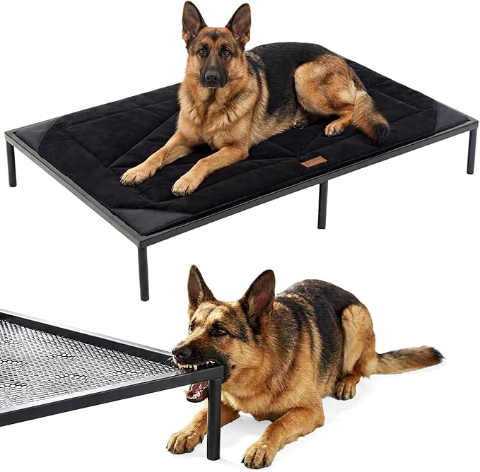 ZOMISIA Chew Proof Elevated Dog Bed for Extra Large Dogs XL- Raised Pet Cot with Removable Waterproof Padded for Outdoor Use, Indestructible and Washable, 50" L x 31" W x 7.5" H, Black