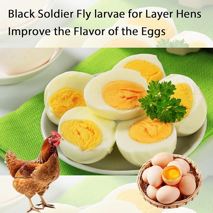 Dried Black Soldier Fly Larvae 5LB-Pure Natural Non-GMO BSF Larvae for Chickens-More Calcium Than Mealworms High-Protein Chickens Treats for Layer Hens Wild Birds Ducks